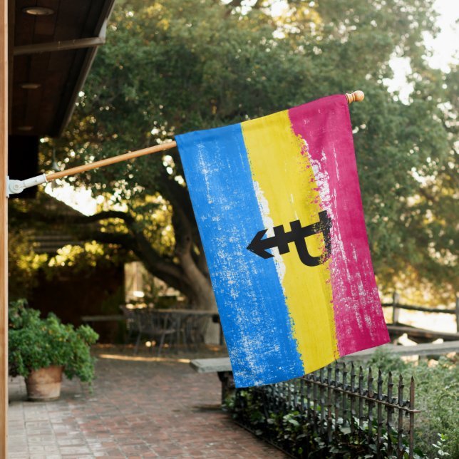 Painted Pansexual Pride Flag (In SItu)