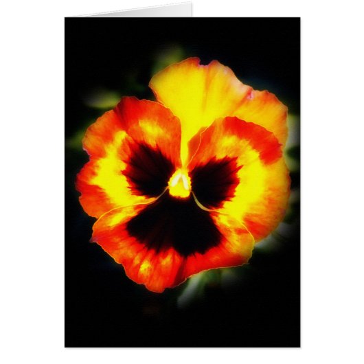 Painted Pansy Cards (Front)