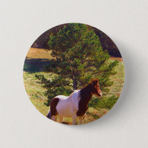 Painted Pony by the Pine Button
