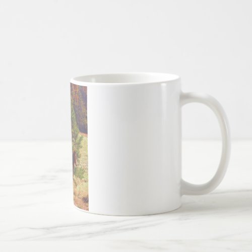 Painted Pony  by the Pine Coffee Mug