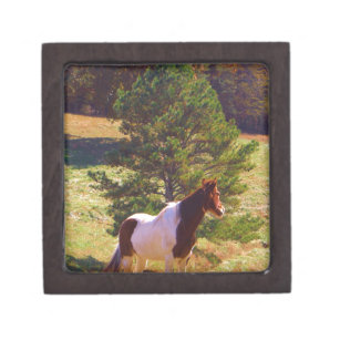 Painted Pony  by the Pine Gift Box