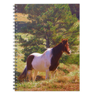 Painted Pony by the Pine Notebook