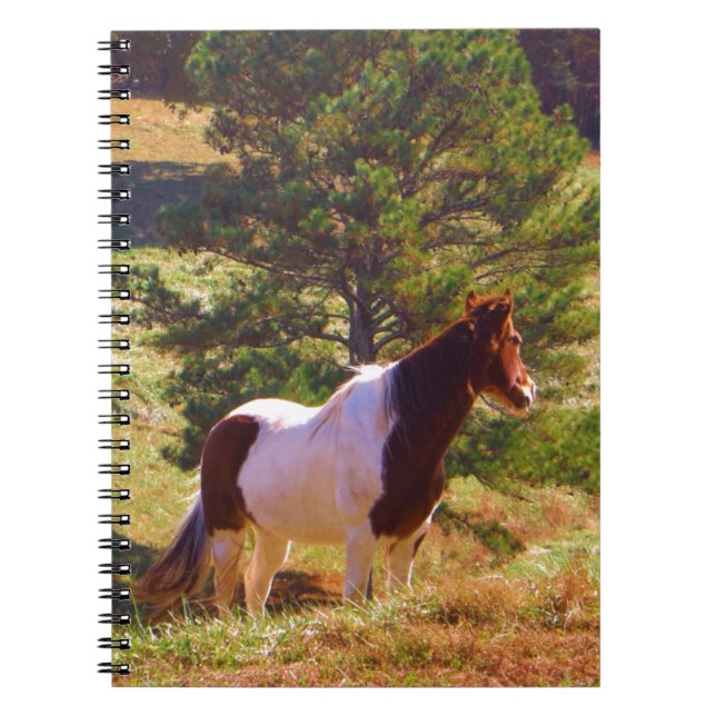 Painted Pony  by the Pine Notebook (Front)
