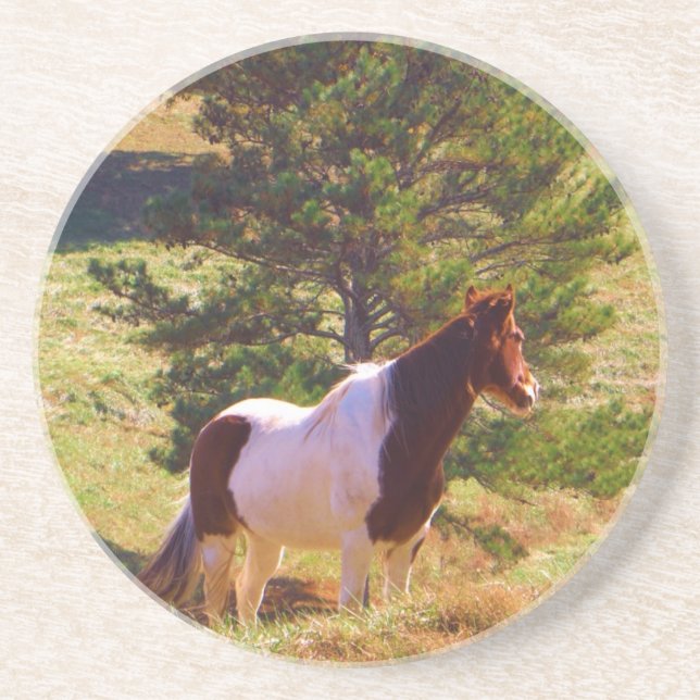 Painted Pony  by the Pine Sandstone Coaster (Front)