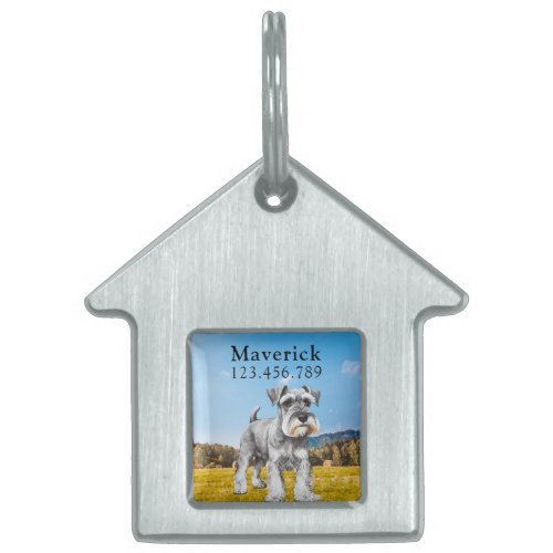 Painted portrait of a schnauzer dog  pet ID tag