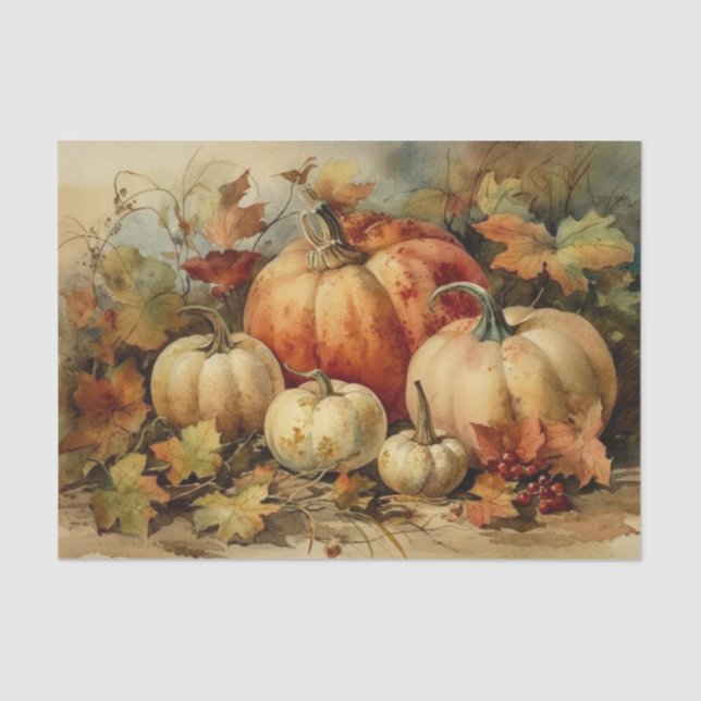 Painted Pumpkins Tissue Paper (Front)