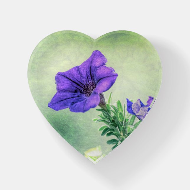 Painted Purple Petunia Paperweight (Front)