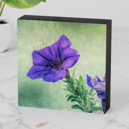 Painted Purple Petunia Wood Art Wooden Box Sign