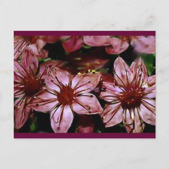 Painted Red Flowers Card (Front)
