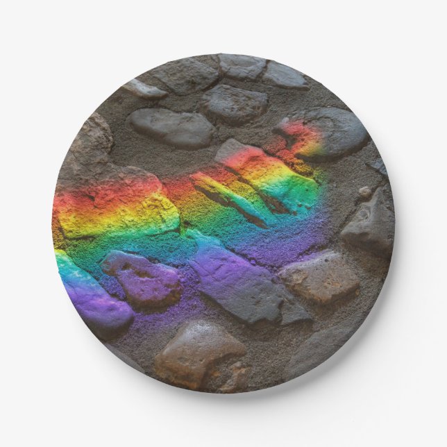 Painted Rock  Paper Plates (Front)