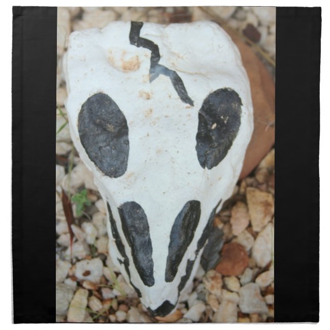 painted skull cloth napkin (Front)