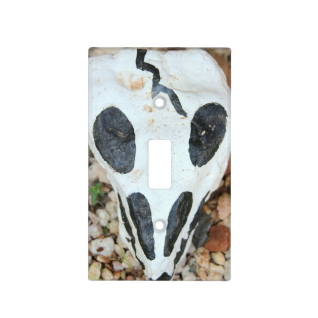 painted skull cover (Front)