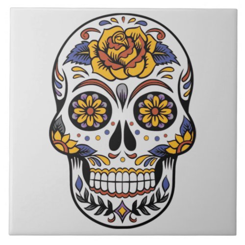 Painted Skull Design Ceramic Tile
