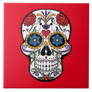 Painted Skull Design Ceramic Tile