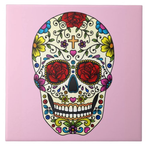 Painted Skull Design Ceramic Tile