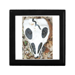 painted skull gift box