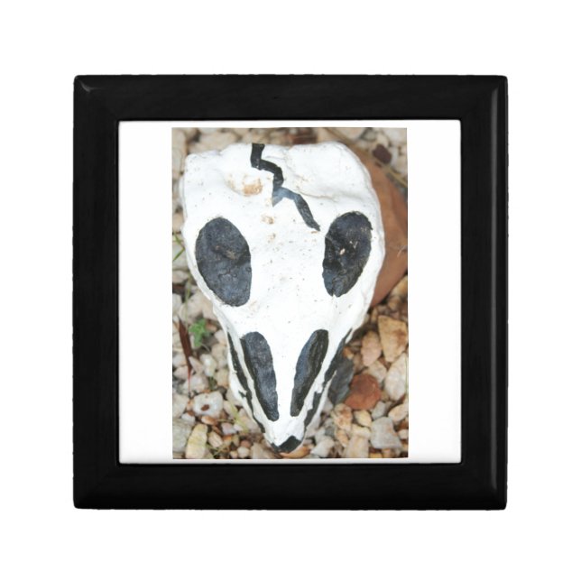 painted skull gift box (Front)