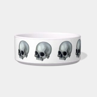 Painted Skull Pet Bowl