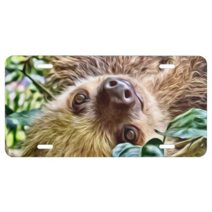 painted Sloth License Plate