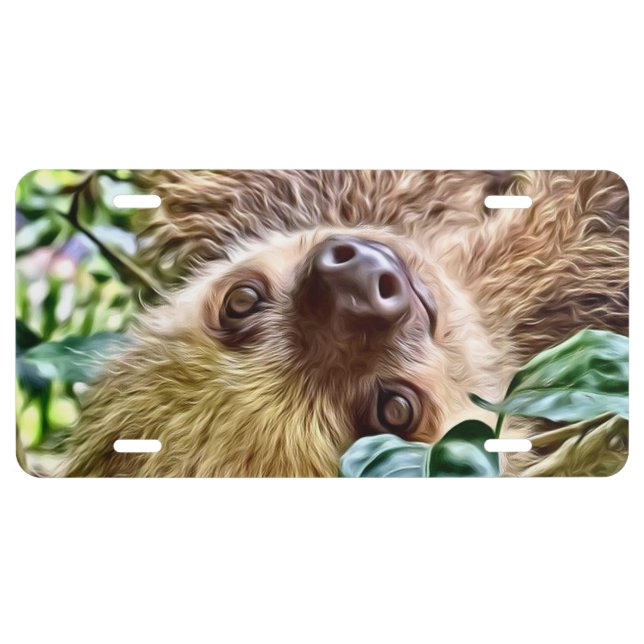painted Sloth License Plate (Front)