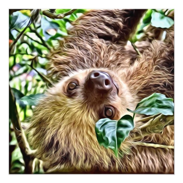 painted Sloth Photo Print (Front)