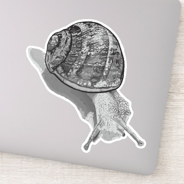 Painted Snail Greyscale Sticker (Detail)