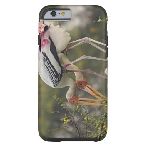 Painted Storks  youn one at nestKeoladeo Tough iPhone 6 Case