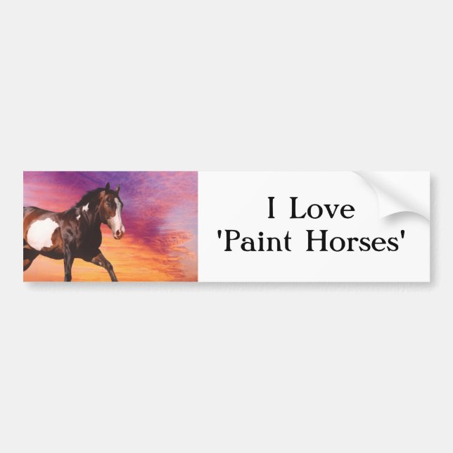 Painted sunrise Bumper sticker. Sticker (Front)