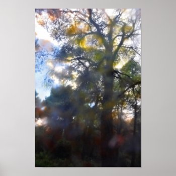 Painted Trees Abstract Poster by sirylok at Zazzle