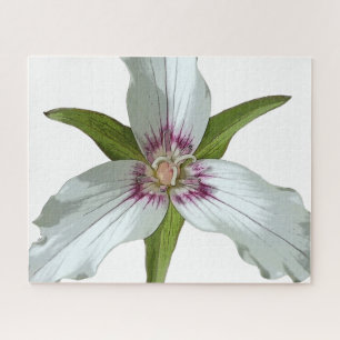 Painted Trillium Spring Wildflower Jigsaw Puzzle