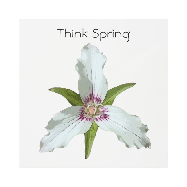 Painted Trillium Spring Wildflower Metal Wall Art (Front)