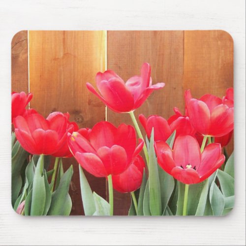 Painted Tulips Mouse Pad