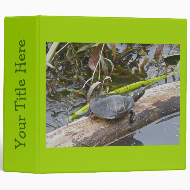 Painted Turtle Binder (Front/Spine)