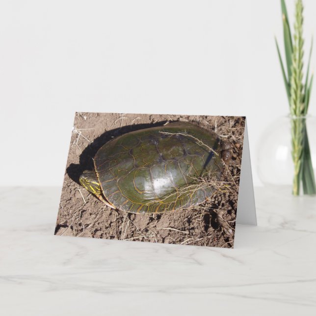 “Painted Turtle” Birthday Card (Front)
