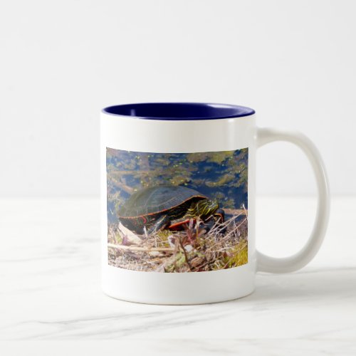 Painted Turtle Chrysemys picta 3 Two_Tone Coffee Mug