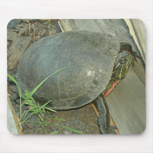 Painted Turtle (Chrysemys picta) Mouse Pad (Front)