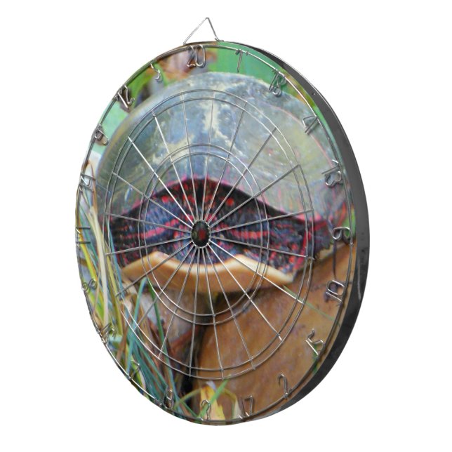 Painted Turtle Hiding Dart Board (Front Right)