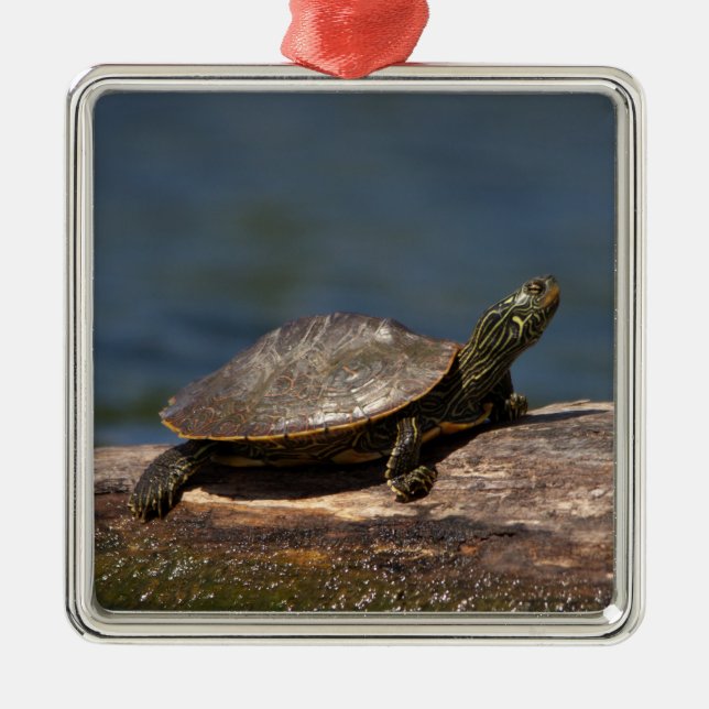 Painted Turtle on a branch Metal Ornament (Front)