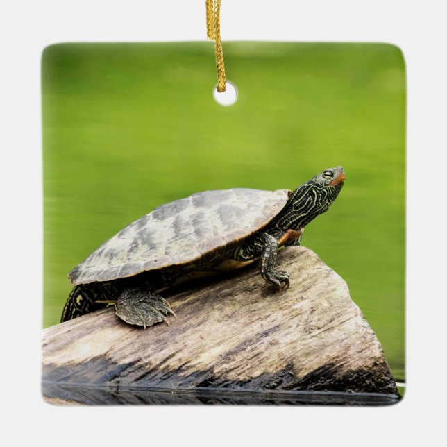 Painted Turtle on a log Ceramic Ornament (Front)