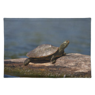Painted turtle on a log cloth placemat
