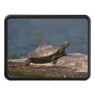 Painted turtle on a log hitch cover