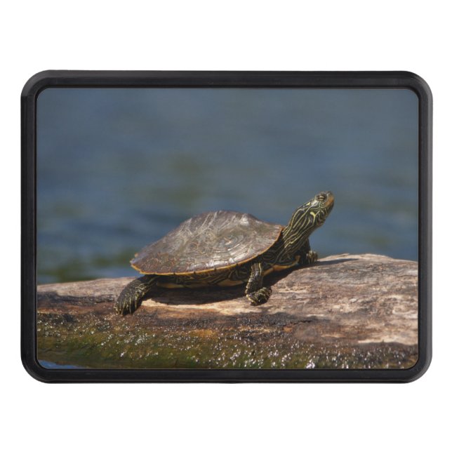 Painted turtle on a log hitch cover (Front)