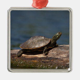 Painted turtle on a log metal ornament