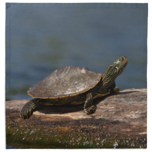 Painted turtle on a log napkin