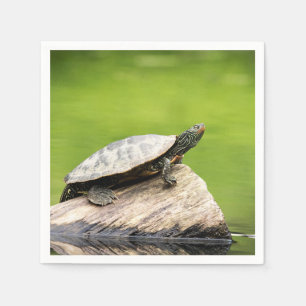 Painted Turtle on a log Napkins