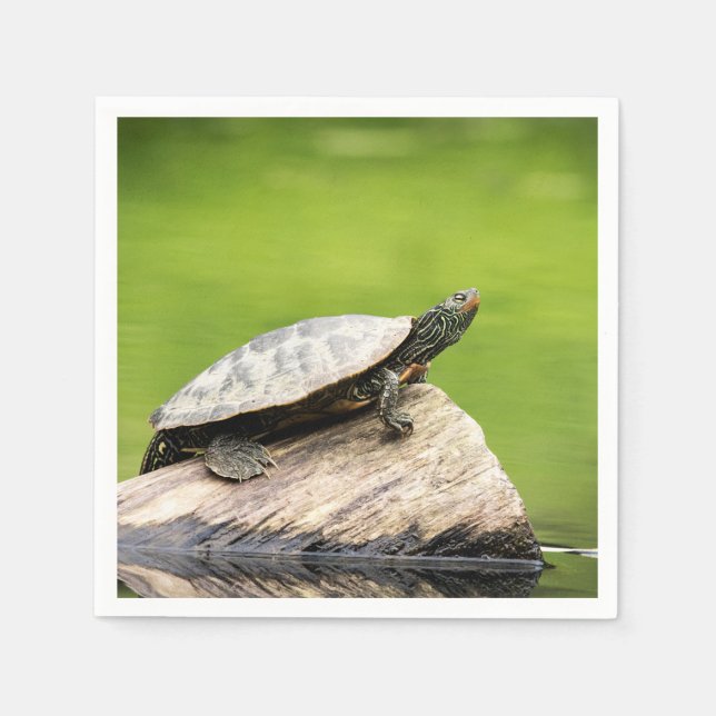 Painted Turtle on a log Napkins (Front)