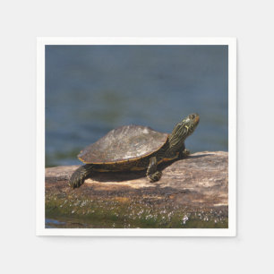 Painted turtle on a log napkins