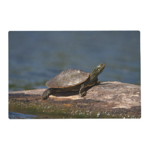 Painted turtle on a log placemat