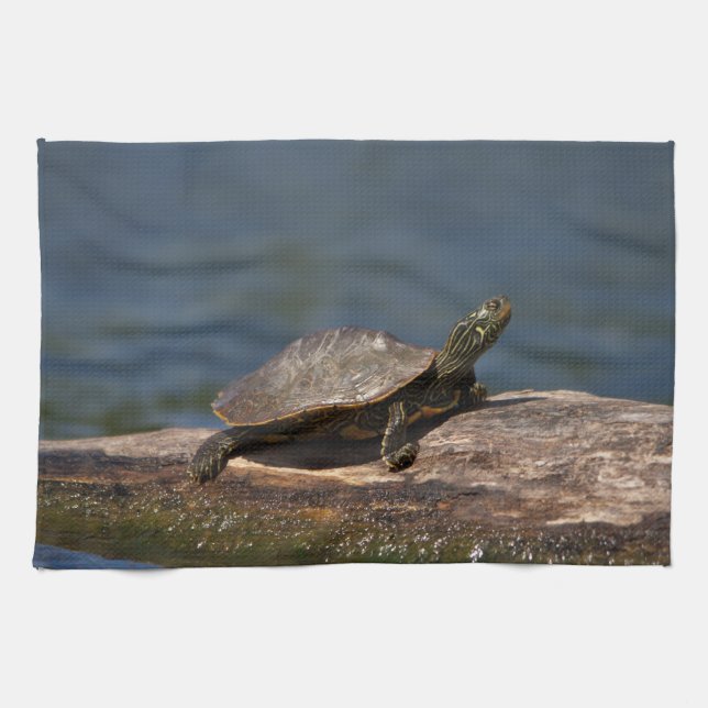 Painted turtle on a log towel (Horizontal)