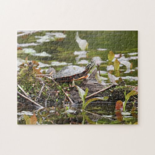 Painted Turtle on Log in Pond Jigsaw Puzzle